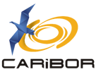 Caribor